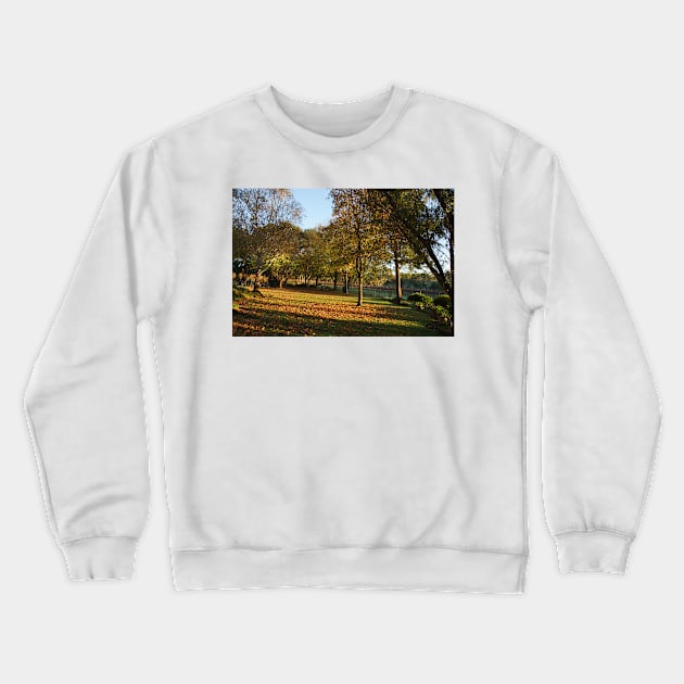 Autumn Leaves - Magpie Springs - Adelaide Hills - Fleurieu Peninsula by South Australian artist Avril Thomas Crewneck Sweatshirt by MagpieSprings